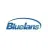 Bluelans reviews, listed as Radio Shack