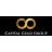 Capital Gold Group