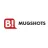 BustedMugshots.com reviews, listed as BidCactus 