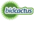 BidCactus  reviews, listed as OurGV