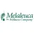 Melaleuca