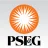 Public Service Electric & Gas [PSEG] reviews, listed as New York State Electric & Gas [NYSEG]