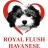 Royal Flush Havanese reviews, listed as Heaven on Earth Newfoundland Dogs