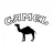 Camel Reviews