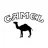 Camel Logo