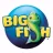 Big Fish Games reviews, listed as Blizzard Entertainment