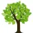 Fast Growing Trees reviews, listed as Direct Gardening