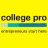 College Pro Painters Reviews