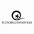 Plumeria Swimwear Logo