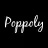 Poppoly.com / Shanghai Pinteng Trade reviews, listed as Overcome Everything