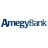 Amegy Bank reviews, listed as Bank of America