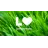 Lawn Love Lawn Care Reviews