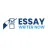 Essay Writer Now