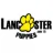 Lancaster Puppies Logo
