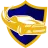 Premier Auto Protect