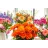 Bloomsy Box.com