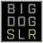 BigDogSolar.com