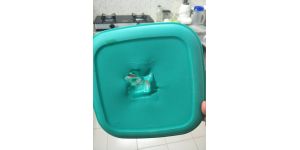 Tupperware India - microwave plates