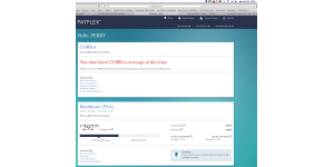 PayFlex Systems USA - Healthcare flexible spending account