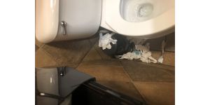 Golden Corral - food, management, bathroom, server