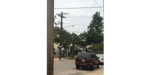 Asplundh Tree Expert - historic neighborhood tree killers