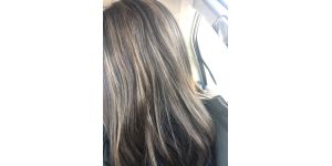 Paul Mitchell - highlights
