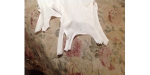 HanesBrands - tee shirts purchased at walmart