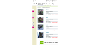 PuppyFind - false advertisement of puppies for sale