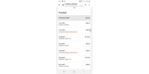 Account Assure - account assure with petland credit card