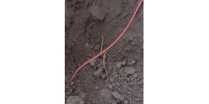 CenturyLink - centurylink's subcontractor cut my gas line