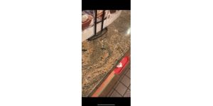 Bob Evans - the restaurant