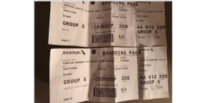 Viking River Cruises - American airlines flight