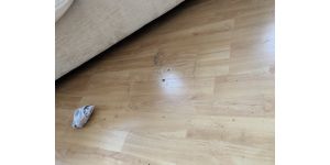Gumtree - flat cleaning (start of tenancy)
