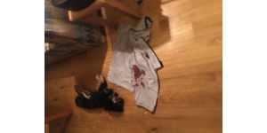 Budget Suites of America - Budget Suites - UNSAFE & UNSANITARY