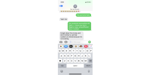 Airbnb - Scammer host