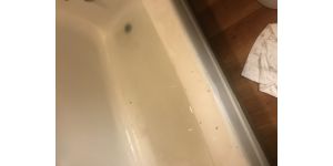 Motel 6 - Management and front desk