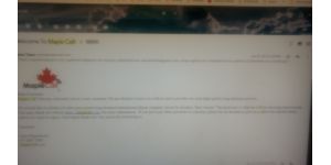 Maple Call - Obsessive service. Extortion of money.