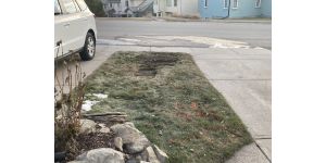 TELUS - Recent fibre optic upgrade in my area in Sienna Park Terrace, Calgary, Alberta