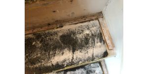 Stanley Steemer International - Home carpet cleaning