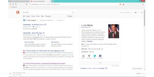 DuckDuckGo - Search returns