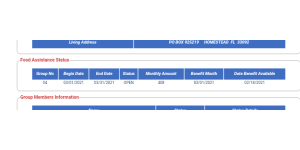 Florida Department of Revenue - Food stamps