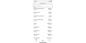 Capital One - Unauthorized transactions and fraud claim.
