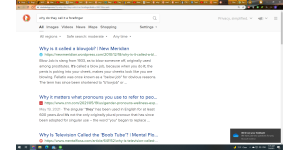 DuckDuckGo - Searched "why is it called a forefinger" and get "why is it called a blowjob"