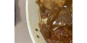Panera Bread - Food - Bugs in French Onion Soup