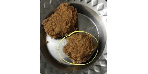 KFC - Subject poor service & charging for no reason-“whipped potato gravy”