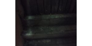 NJ Transit - Bus service