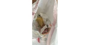 Taco Bell - Taco that taste like chemicals