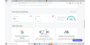 GoDaddy - Visitor meter analytics