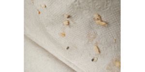 Taco Bell - I just broke tooth biting into a cheesy been and rice burrito