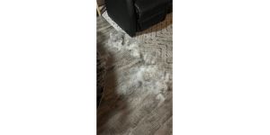 Petco - Grooming service